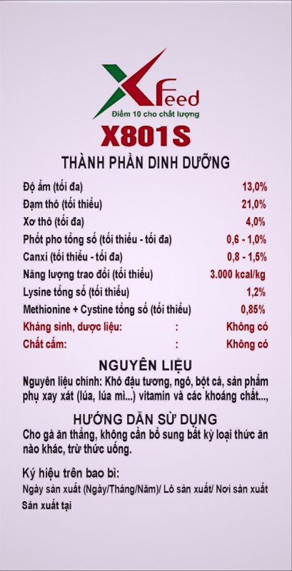 X VIỆT