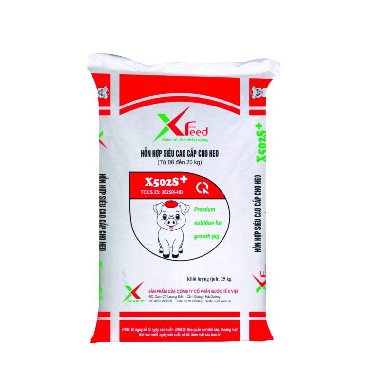 X VIỆT